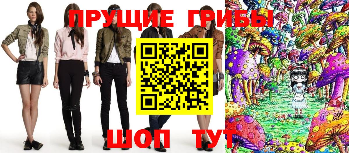 Галлюциногенные грибы Psilocybe  Вход с VPN  Зерноград 